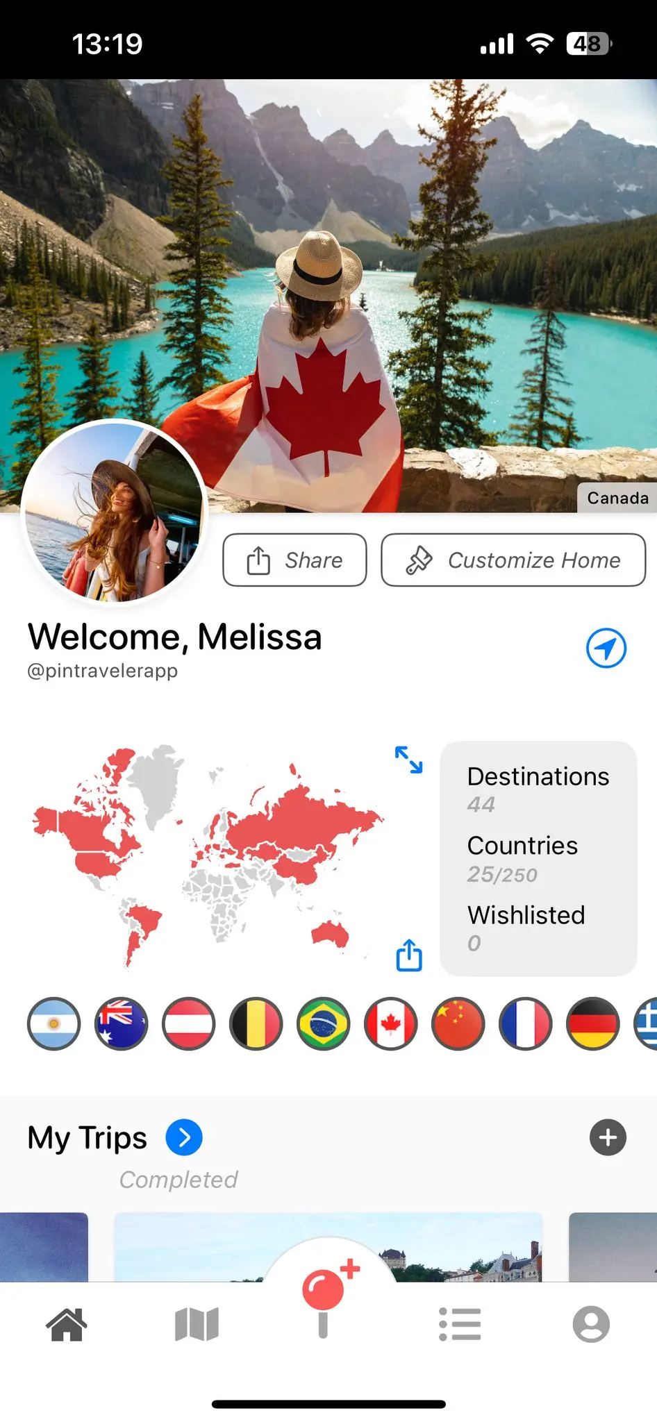 Pin Traveler trip details